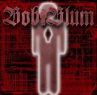 Picture for song 'knocking on heavens door' by artist 'Bob Blum'