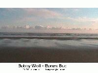 Picture for song 'carooghze' by artist 'bobby wolf'