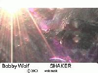 Picture for song 'ferris' by artist 'bobby wolf'