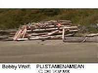 Picture for song 'may mae' by artist 'bobby wolf'