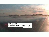 Picture for song 'cloud cry' by artist 'bobby wolf'