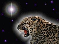 Picture for song 'Fusionpard 2' by artist 'Bob Yordan demo'ns'