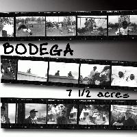 Picture for song 'Bo-Stylee' by artist 'Bodega'