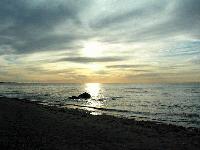 Picture for song 'Florida Suite - Connection' by artist 'Boingy Pongo'