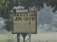 Picture for song 'Your Man Tonight' by artist 'Boingy Pongo'