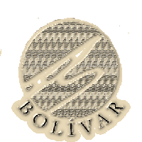 Picture for song '~New~ Fuerza (Spanish)' by artist 'Bolivar'