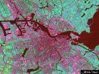 Picture for song 'The Amsterdam Connection (live version)' by artist 'BONDANGO'