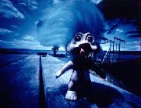 Picture for song 'Twisted' by artist 'BONDANGO'