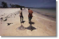 Picture for song 'Zanzibar (instrumentaly mix)' by artist 'BONDANGO'