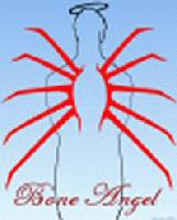Picture for song 'Big Top (High Wire Song)' by artist 'Bone Angel'
