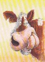 Picture for song 'Jam-n-G' by artist 'Boney Jones'