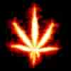 Picture for song 'time to burn' by artist 'BONGSSONGS'
