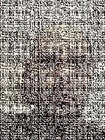 Picture for song '3w' by artist 'Boobootin'