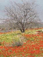 Picture for song 'kun2' by artist 'Boobootin'