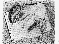 Picture for song 'Noa's Ark' by artist 'boom state'