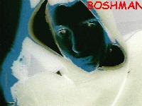 Picture for song 'BEUTIFUL' by artist 'boshman'