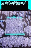 Picture for song 'the last one wasted' by artist 'boshman'