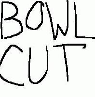 Picture for song 'Intro (BowlCube)' by artist 'Bowlcut'