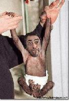 Picture for song 'Humanzee' by artist 'BoxCar Wynonna'