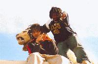 Picture for song 'DEY DON'T KNOW (ALBUM SAMPLER!)' by artist 'Boya Dunn'