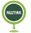 Picture for song 'Nectars of eden' by artist 'Boycuoi'
