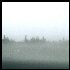 Picture for song 'The Field (edit)' by artist 'boy makes music (ambient)'