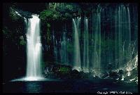 Picture for song 'B@r fight' by artist 'BOZ Crew'