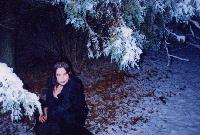 Picture for song 'On a Cold December Evening' by artist 'Bradley316'