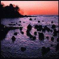 Picture for song '17 Signs OF Energy' by artist 'BrainStormedWeather'