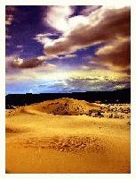 Picture for song 'Air Conditioned Coffin' by artist 'BrainStormedWeather'