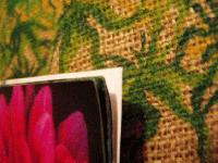 Picture for song 'Earths Golden Corners' by artist 'BrainStormedWeather'