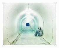 Picture for song 'For The Wise Trio' by artist 'BrainStormedWeather'