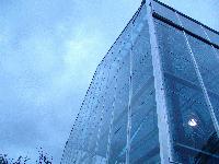 Picture for song 'Horny Toads (main mix)' by artist 'BrainStormedWeather'