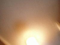 Picture for song 'Infatuated By Infections' by artist 'BrainStormedWeather'