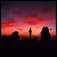 Picture for song 'Organic Senses' by artist 'BrainStormedWeather'