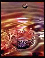 Picture for song 'Rock The Boat (Narcoleptic Drummer Mix)' by artist 'BrainStormedWeather'