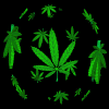 Picture for song 'The THC Song' by artist 'BrainStormTroopers'