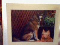 Picture for song 'Jake & Scout' by artist 'Zhyrztyrh'