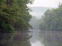 Picture for song 'River of Life' by artist 'Brandon Bull'