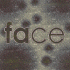 Picture for song 'Face' by artist 'bray'
