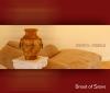 Picture for song 'Jesus is the Way' by artist 'Bread of Stone'