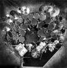 Picture for song 'Jeremy's Solo' by artist 'Break The Silence'