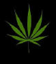 Picture for song 'Smokin Chokin' by artist 'Breakthru Entertainment Group'