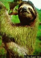 Picture for song 'goliath' by artist 'brendy beats'