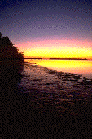 Picture for song 'Wishing for the Sun (Regeneration version)' by artist 'Brett DuBose'