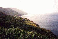 Picture for song 'My Baby' by artist 'Brian Hibbert'