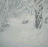 Picture for song 'winter' by artist 'Brian Hildebrand'