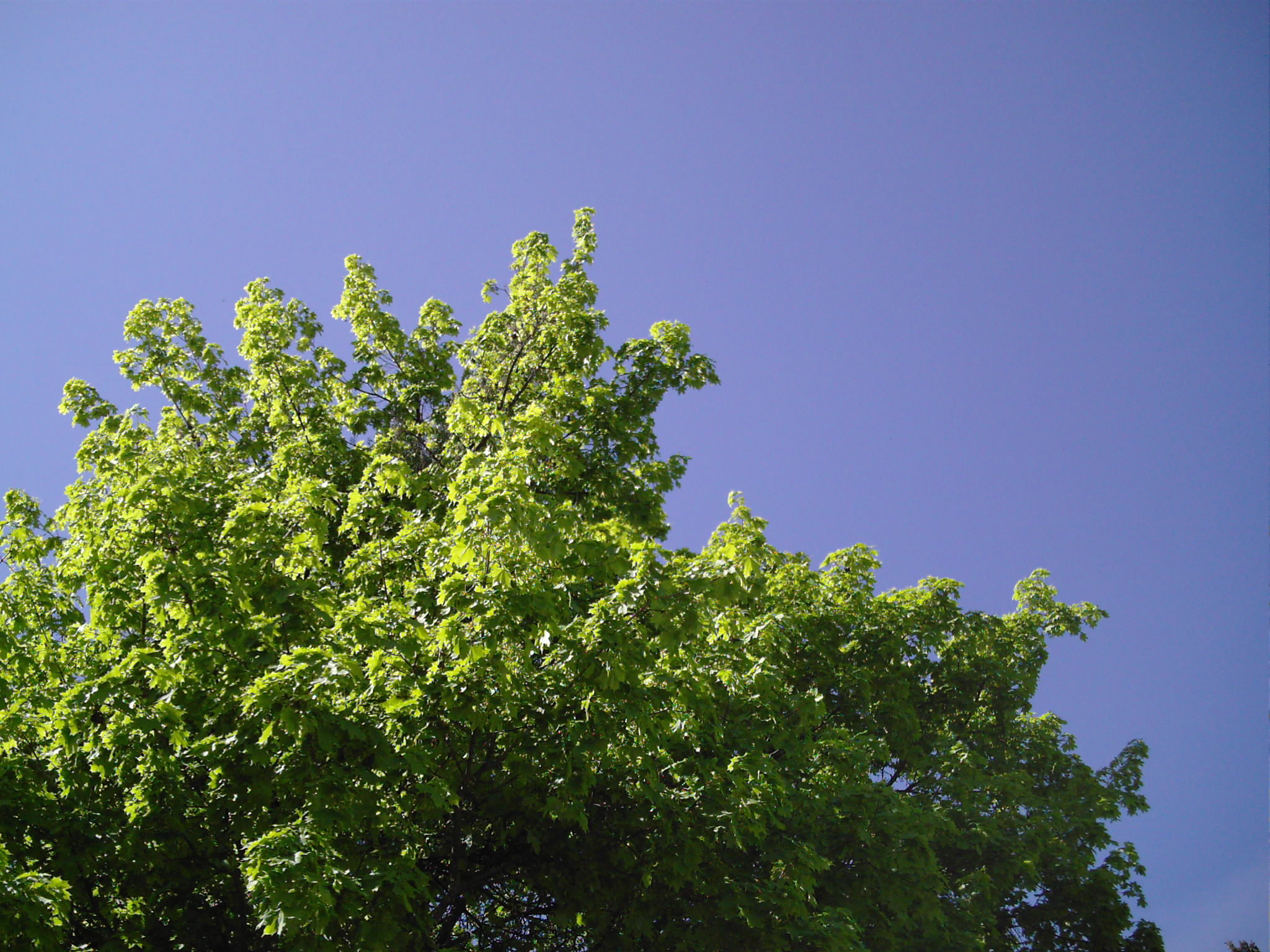 Picture for song 'East Hill' by artist 'Brian Taylor'