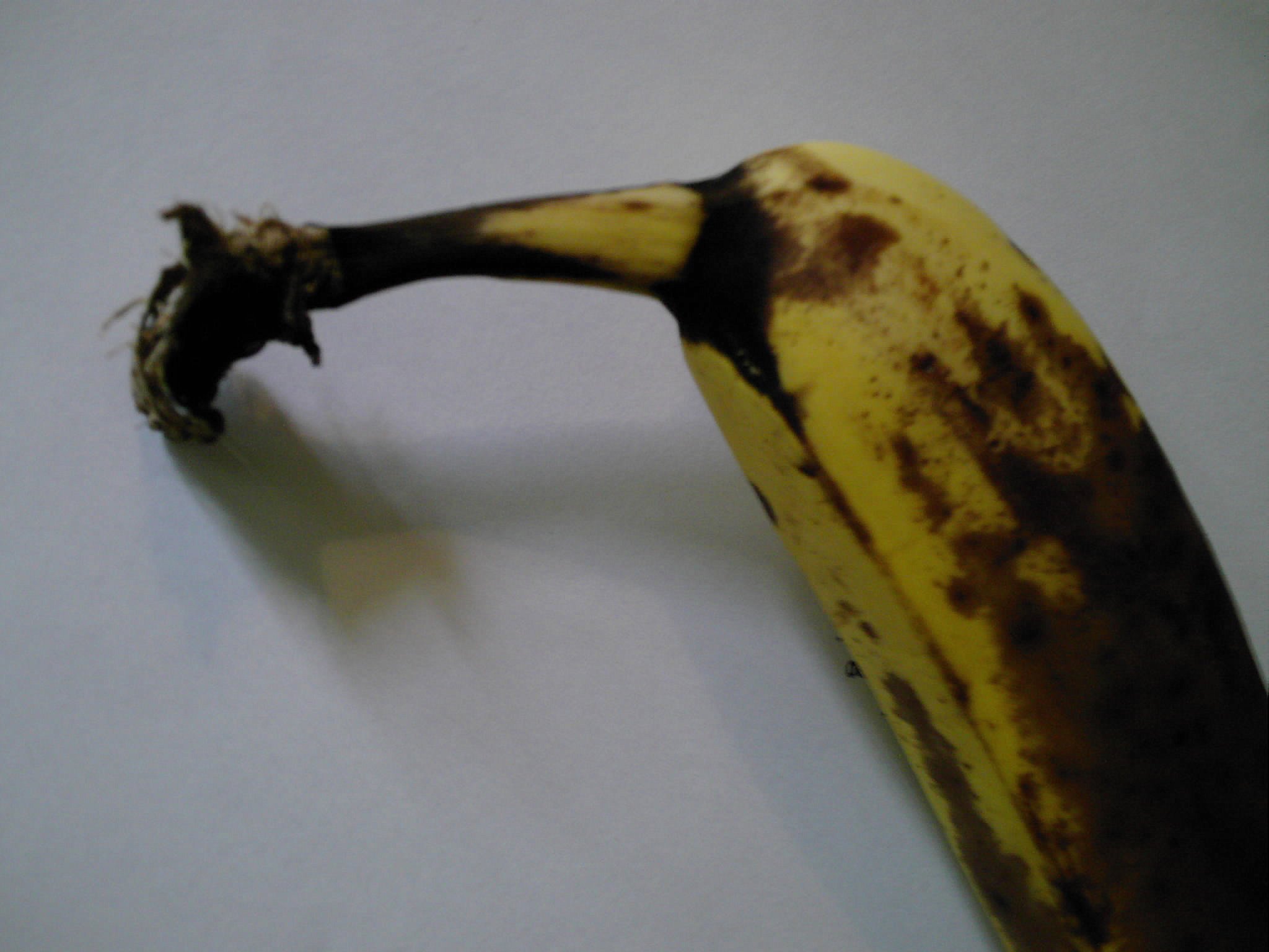 Picture for song 'Entropy Fan' by artist 'Brian Taylor'