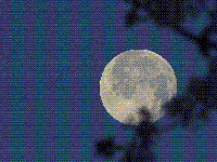 Picture for song 'Now that I know' by artist 'Brian Taylor'